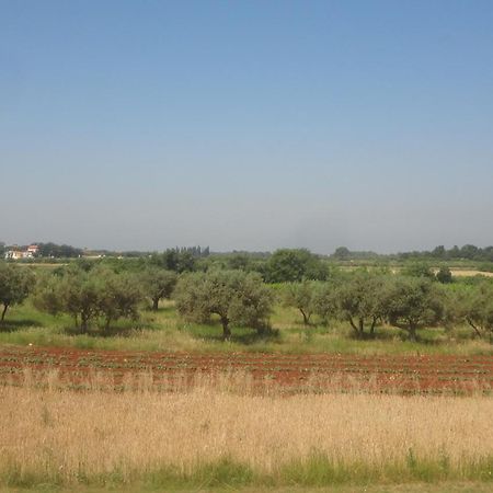 Apartments Zdravac Umag Bagian luar foto