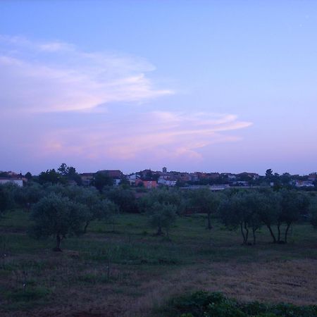 Apartments Zdravac Umag Bagian luar foto
